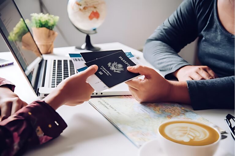 immigration and visa consultant